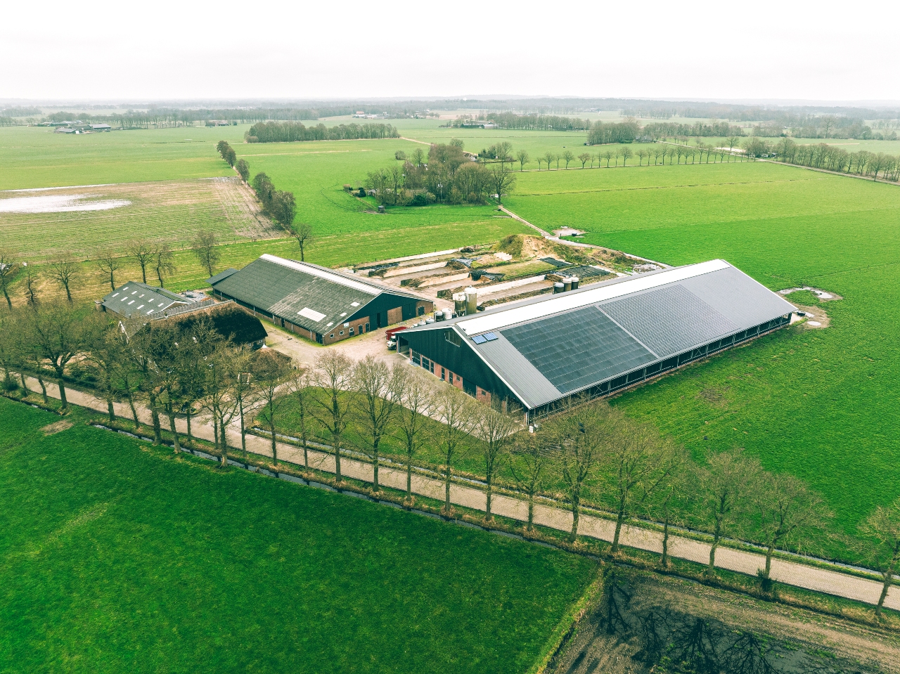 Samen werken aan duurzame daken in Mariënheem en Raalte